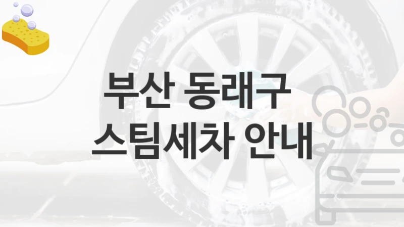 부산 동래구 
스팀세차 안내
