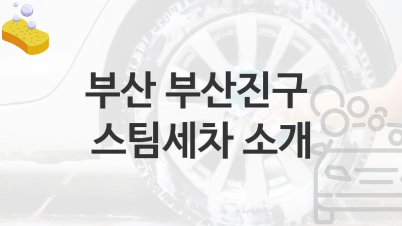 부산 부산진구 
스팀세차 소개