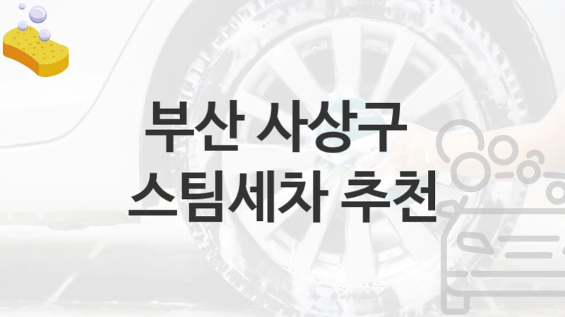 부산 사상구 
스팀세차 추천
