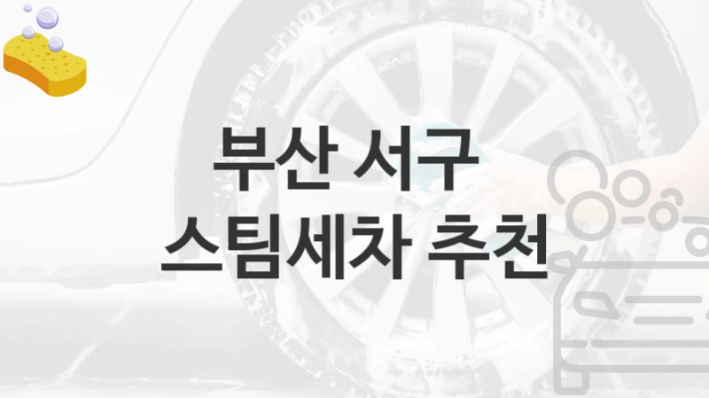 부산 서구 
스팀세차 추천