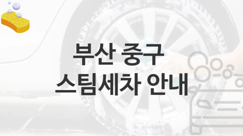 부산 중구 
스팀세차 안내
