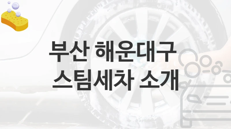 부산 해운대구 
스팀세차 소개