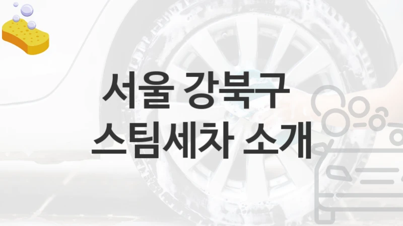 서울 강북구 
스팀세차 소개