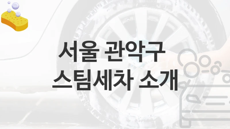 서울 관악구 
스팀세차 소개