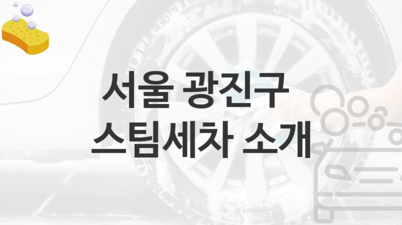 서울 광진구 
스팀세차 소개