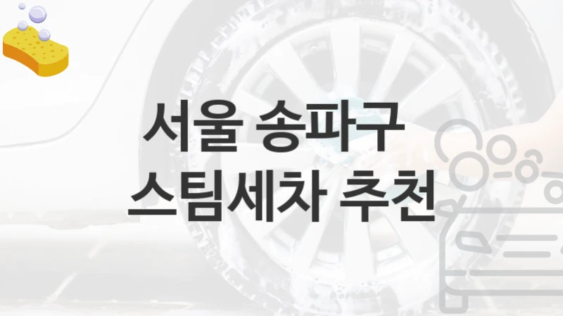 서울 송파구 
스팀세차 추천