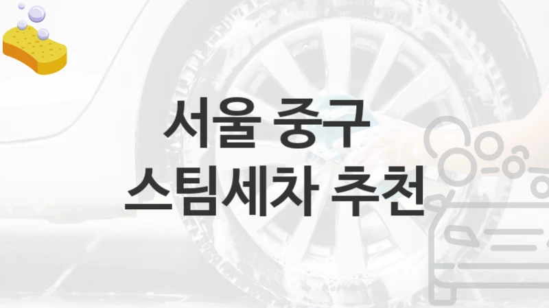 서울 중구 
스팀세차 추천
