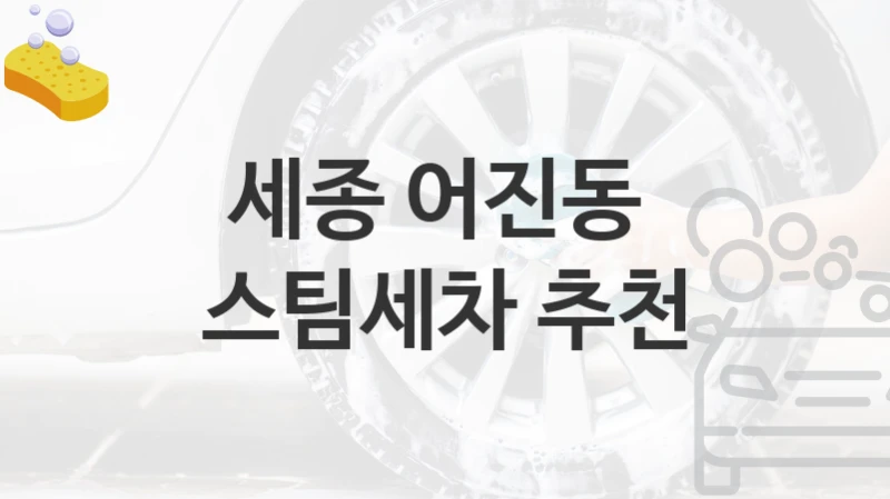 세종 어진동 
스팀세차 추천