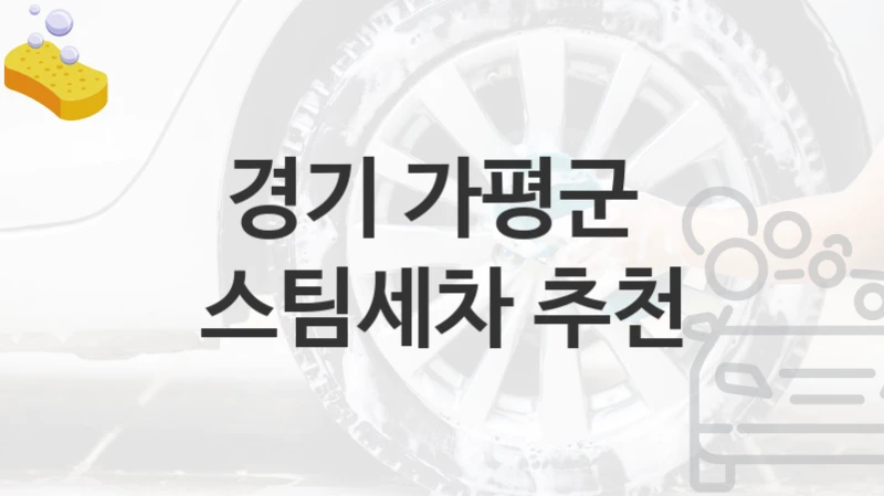 경기 가평군 
스팀세차 추천