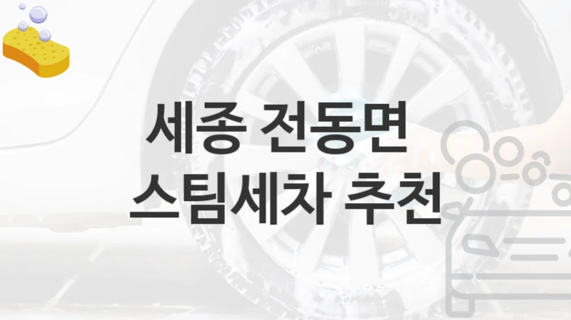 세종 전동면 
스팀세차 추천