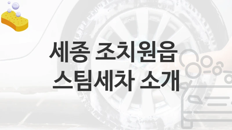 세종 조치원읍 
스팀세차 소개