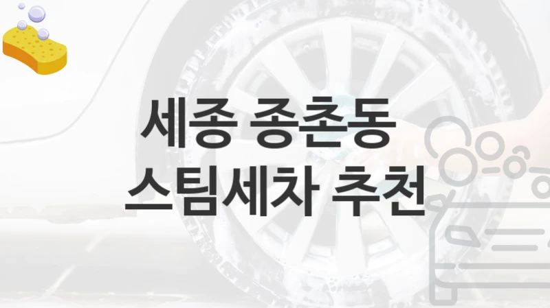 세종 종촌동 
스팀세차 추천