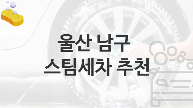 울산 남구 
스팀세차 추천