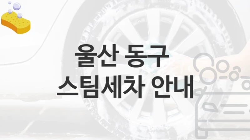 울산 동구 
스팀세차 안내