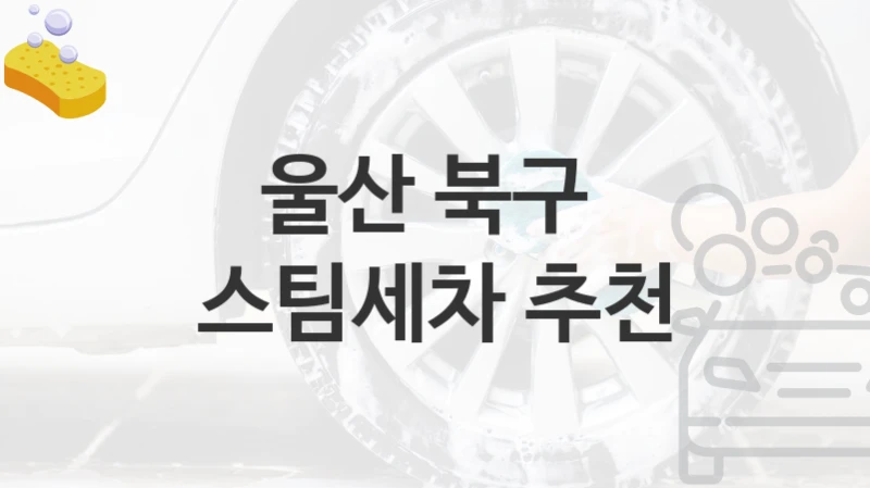 울산 북구 
스팀세차 추천