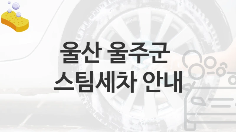 울산 울주군 
스팀세차 안내
