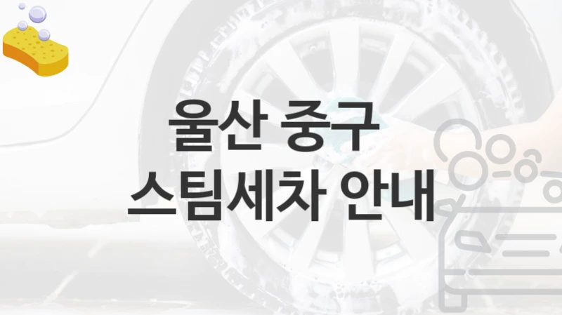 울산 중구 
스팀세차 안내