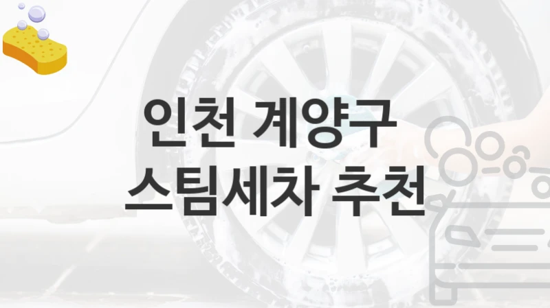 인천 계양구 
스팀세차 추천