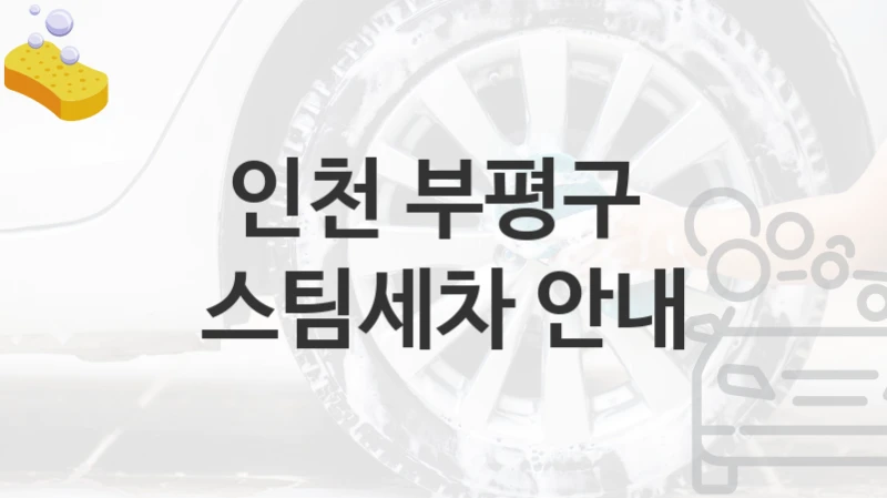 인천 부평구 
스팀세차 안내