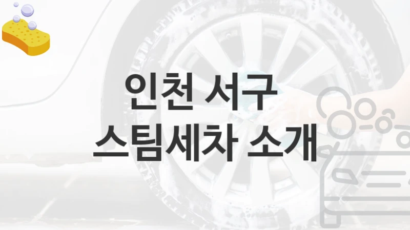 인천 서구 
스팀세차 소개