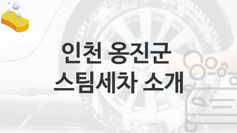 인천 옹진군 
스팀세차 소개
