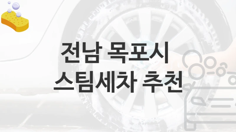 전남 목포시 
스팀세차 추천