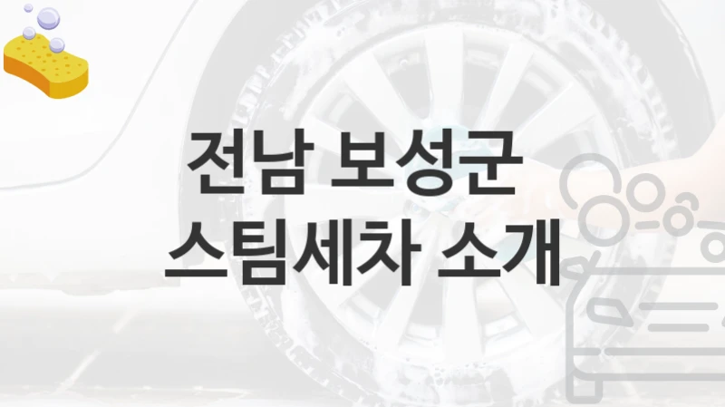 전남 보성군 
스팀세차 소개