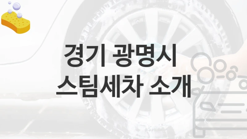 경기 광명시 
스팀세차 소개