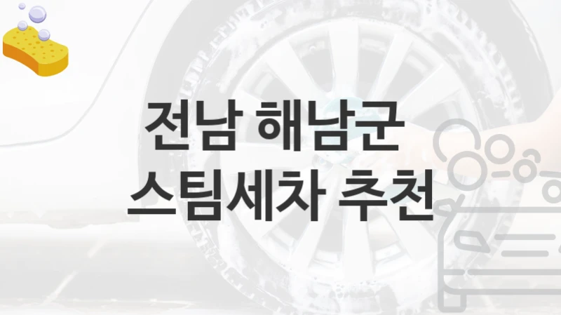 전남 해남군 
스팀세차 추천