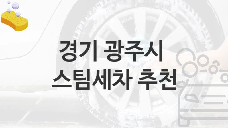 경기 광주시 
스팀세차 추천