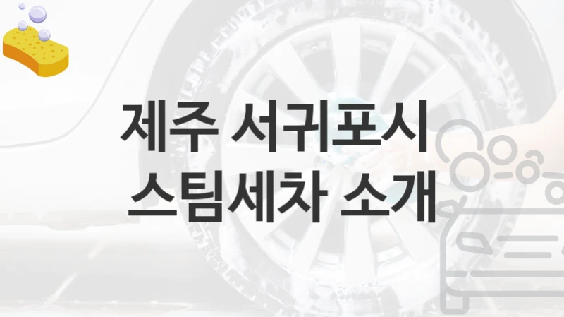제주 서귀포시 
스팀세차 소개