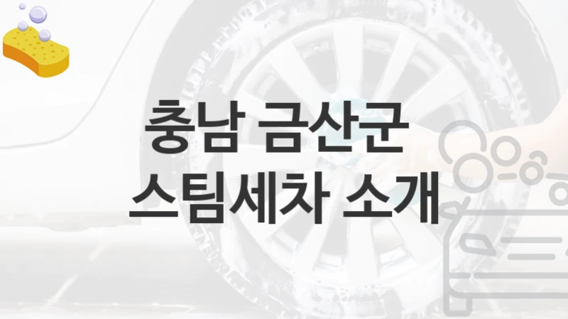 충남 금산군 
스팀세차 소개