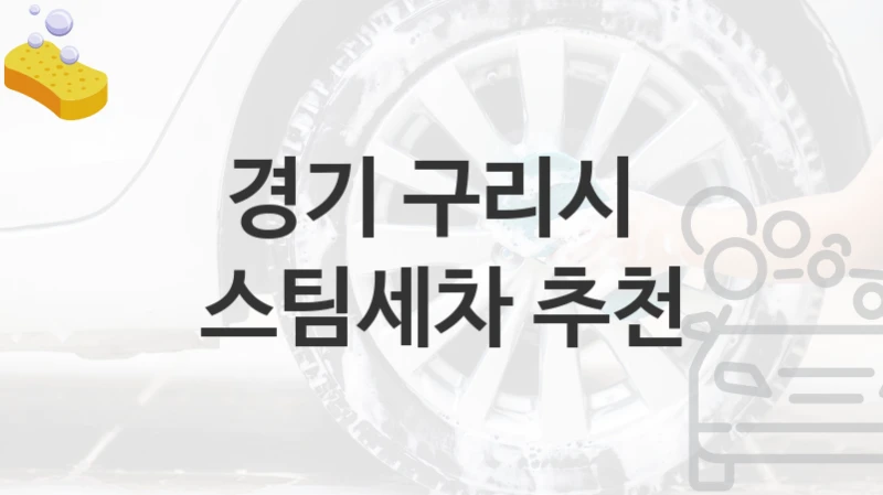 경기 구리시 
스팀세차 추천