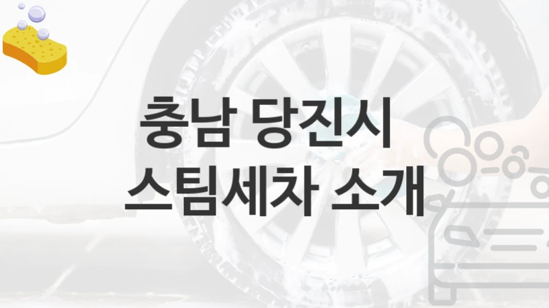충남 당진시 
스팀세차 소개