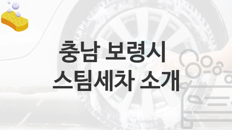 충남 보령시 
스팀세차 소개