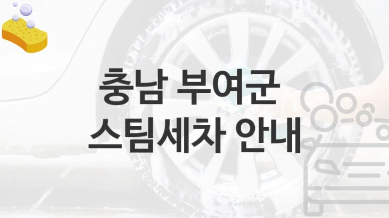 충남 부여군 
스팀세차 안내