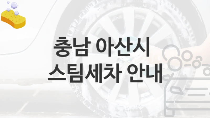 충남 아산시 
스팀세차 안내