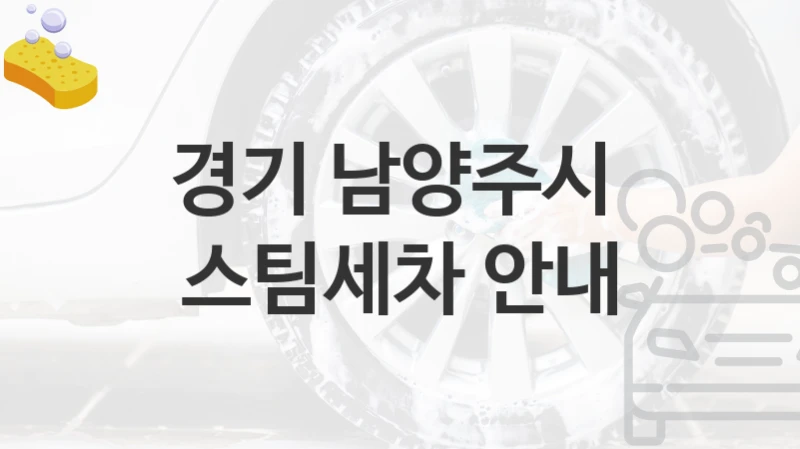 경기 남양주시 
스팀세차 안내