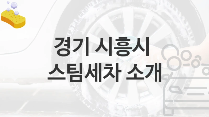 경기 시흥시 
스팀세차 소개