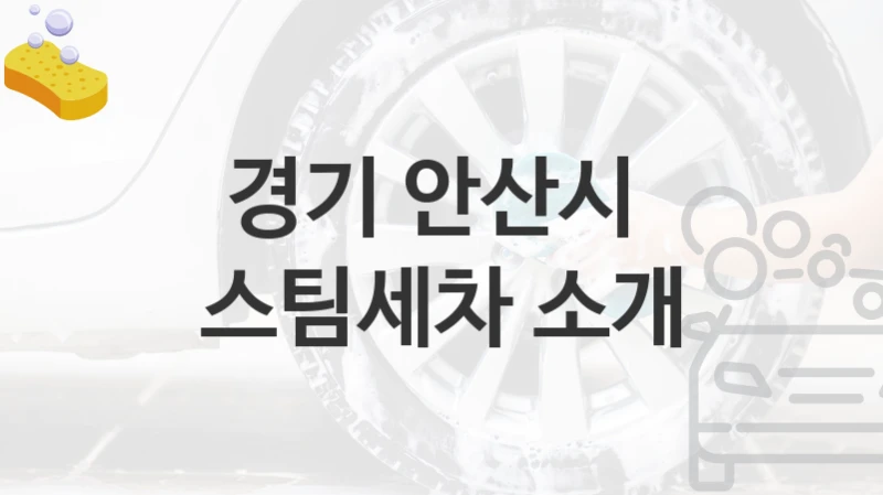 경기 안산시 
스팀세차 소개