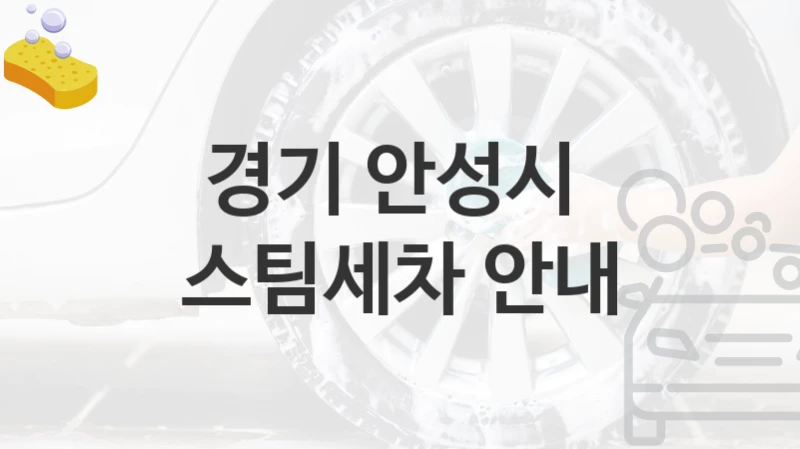경기 안성시 
스팀세차 안내