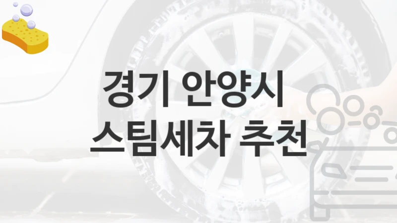 경기 안양시 
스팀세차 추천