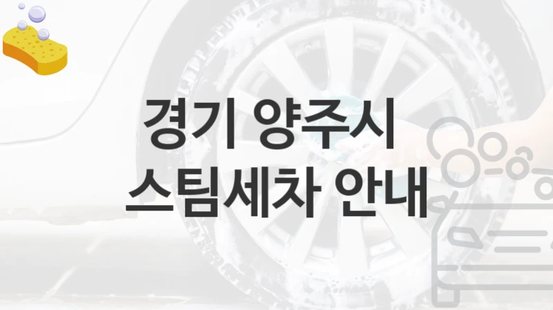 경기 양주시 
스팀세차 안내
