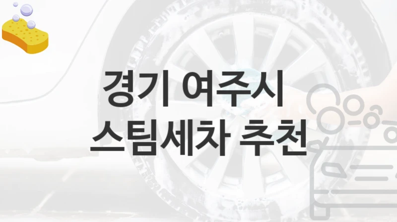 경기 여주시 
스팀세차 추천
