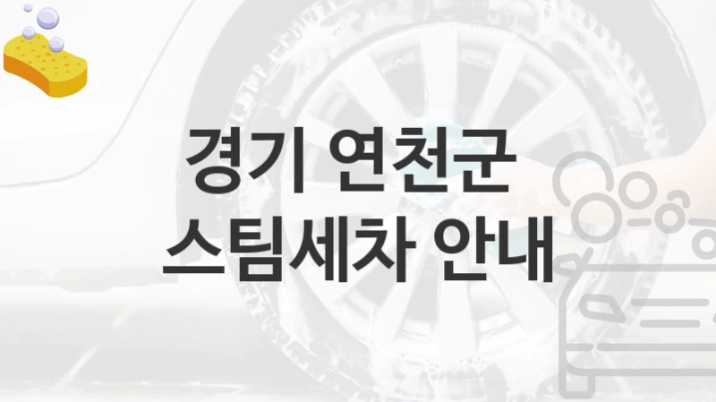 경기 연천군 
스팀세차 안내