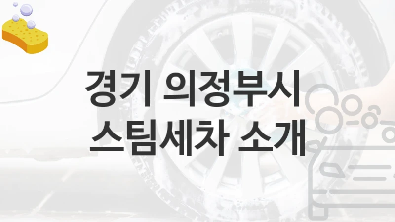 경기 의정부시 
스팀세차 소개