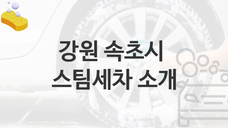 강원 속초시 
스팀세차 소개