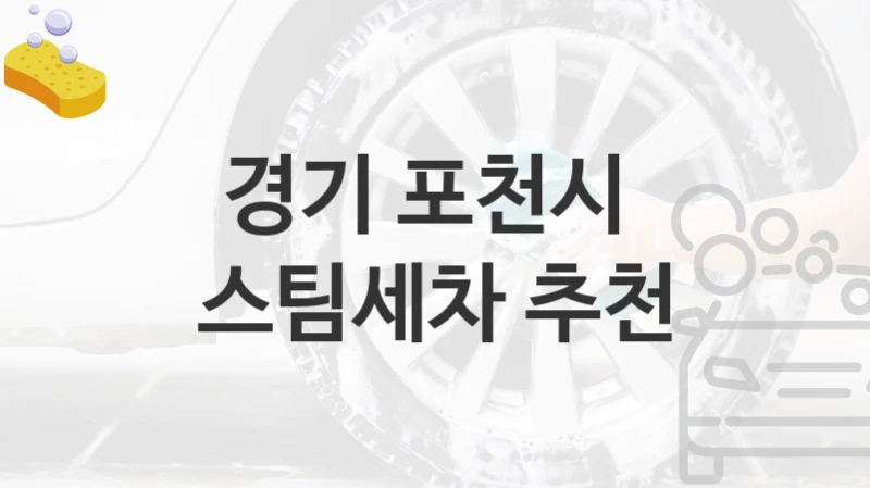 경기 포천시 
스팀세차 추천