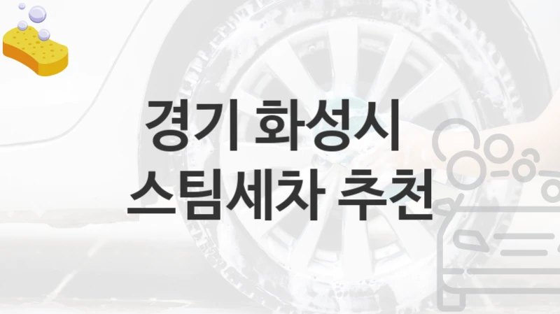 경기 화성시 
스팀세차 추천