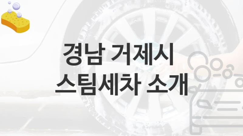 경남 거제시 
스팀세차 소개